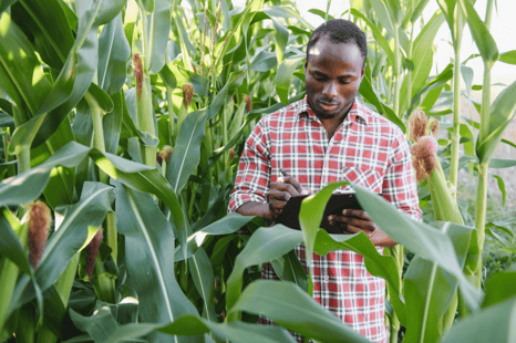 Africa is Not Catching Up, Africa is Building 4