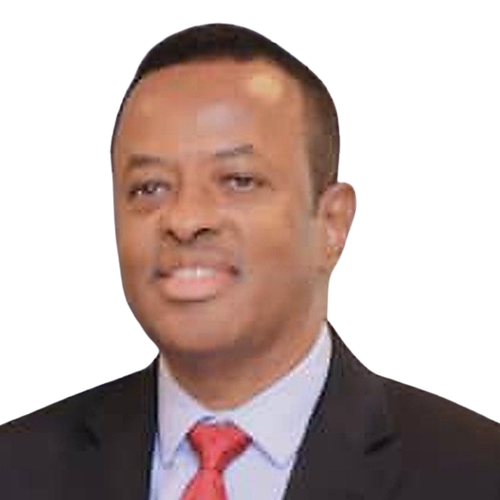 H.E. Abdirahman Mohamed Abdullahi