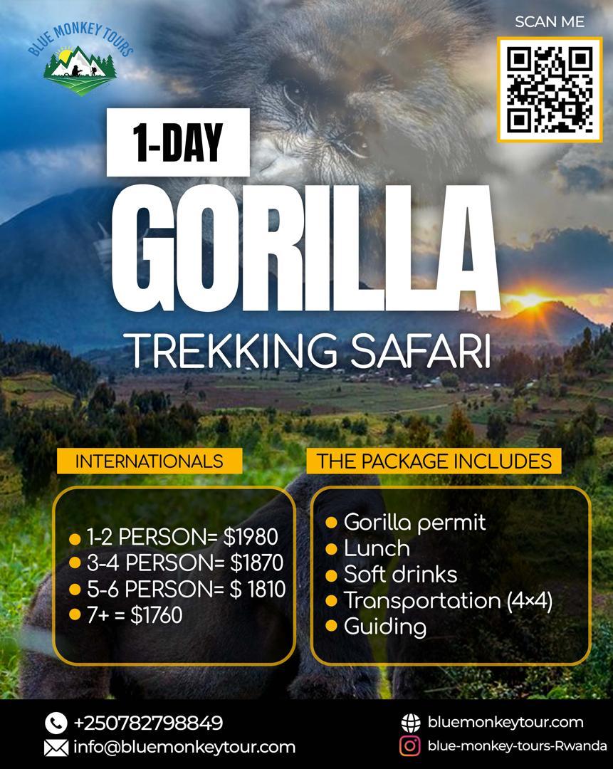 1 DAY GORILLA TREKKING 1 DAY GORILLA TREKKING